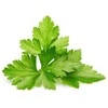 Click And Grow „Click & Grow“ kalendra/kalendra, valgomasis augalas, kalendra, papildymas, greitai auganti (3–5 savaitės), 7–14 dienų, 1–2 mėnesiai