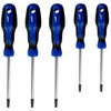 Solar Plus 5 dalių atsuktuvų rinkinys su Torx lizdu, TX10, TX15, TX20, TX25 ir TX30