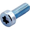 CUBIC 100 vnt. cilindrinių varžtų, torx, plokščia galvute