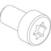 CUBIC Cilindrų atsuktuvai Torx 3101-0816