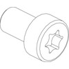 CUBIC Cilindrinis varžtas, torx, plokščia galvute, 100 vnt. pakuotėje.