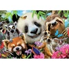 Educa dėlionė 300 vnt. - Panda ir draugai