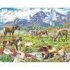 Dėlionė Larsen_Puzzles Larsen Puzzle Arctic inland Maxi