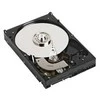 „Dell“ 300 GB 2,5 colio SAS-3 (12 Gb/s) serverio diskas (YJ2KH)