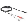 Delock garso kabelis 3,5 mm lizdo kištukas > 2 x 5 m