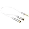 DELOCK Kabelio garso stereo lizdas vyriškas 3,5 mm 3 kontaktas > 2 x stereo lizdas, 3,5 mm 3 kontaktas 25 cm