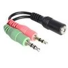 Adapteris Delock 3.5mm x2 kištukai - 3.5mm lizdas; 0,12m