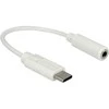 USB adapteris Delock USB-C – 3,5 mm baltas lizdas (65913)