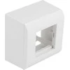 Delock paviršiuje montuojamas korpusas Easy 45 moduliams 82 x 82 mm, baltas