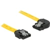 Delock 0.2m, Geltonas (83958)