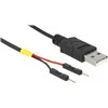 Delock A tipo USB maitinimo kabelis iki 2 x kištuko vieno maitinimo 20 cm