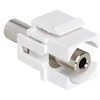 Delock Keystone lizdas 3,5 mm lizdas > lizdas