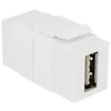 Adapteris USB Delock Baltas (86353)