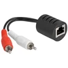 Adapteris AV Delock Stereo Audio Extender RJ45 gniazdo na 2 x wtyk Cinch Cat.5 do 50 m Rinkinys 2 sztuki
