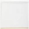 Deltaco Driptray 60cm x 62cm deep Transparent