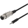 Deltaco XLR-2000, XLR, Lizdas, 3,5 mm, Kištukas, 1,5 m, Juodas