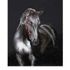 Diamond Dotz 53 x 42 cm - Vidurnakčio eržilo kumpis