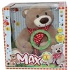 Dimian - The Fairy Tale Telling Teddy Bear (Dansk version) (602401)