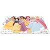 Cookini DISNEY PRINCESS staltiesė, 43x28x0,01 cm