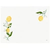 Servetėlės Duni 30x40 cm Lemon Fiesta, 250 vnt./pak.