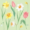 Duni Spring Melody servetėlės 33x33 cm 3 sluoksnių Floret, 50 vnt./pak