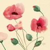 Duni servetėlės 33x33 cm 3 sluoksnių Poppy Charm, 250 vnt./pakuotėje