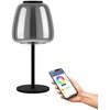 Stalinė lempa EGLO ALFERO-Z BORD RGB/CCT 1000LM SORT/KROM/T