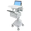 Laikiklis Ergotron StyleView, Multimedia cart, Aliuminio, Pilkas, Baltas, Aliuminio, Plastic, Zinc steel, Nešiojamas kompiuteris, 9.5kg, 43.9 cm (17.3")