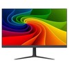 Monitorius Ernitec 0070-24124-F