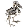 ESPA Paukščio skeletas
