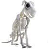 ESPA Šuns skeletas