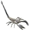 ESPA Skorpiono skeletas, 25 cm