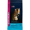 Sausas Kačių Maistas - Eukanuba Vyresniems Katinams Su Vištiena 2kg