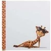 Lipnus nuotraukų albumas FANDY Giraffe