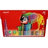 Fiberpen Penol smulkus asortimentas. spalvos (30 vnt. pakuotė)