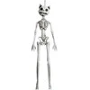 Fiesta Kabantis katės skeletas, 37 cm