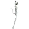 Fiesta Kabantis katės skeletas, 37 cm
