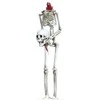 Fiesta Kabantis begalvis skeletas, 37 cm