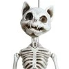 Fiesta Kabantis katės skeletas, 37 cm