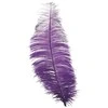 Fiesta Violetinės stručio plunksnos 30 cm, 12 vnt.