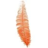 Fiesta Oranžinės stručio plunksnos 40 cm, 12 vnt.