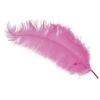 Fiesta Rožinė strudsefjer 45 - 60 cm, 12 stk