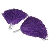 Fiesta Violetiniai bumbulai