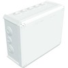 OBO Bettermann T 250 RW (I x P) 240 x 190 mm balta IP66 1 vnt.