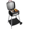 Fritel elektrinė kepsninė BBQ 3278, 2000W, 400 x 360 mm