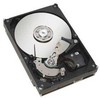 Fujitsu 2TB 3,5 colio SATA III (6 Gb/s) serverio diskas (S26361-F3921-L200)