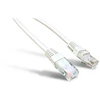 Garbot B-02-50800, 10 m, Cat6, U/UTP (UTP), RJ-45, RJ-45, pilkas