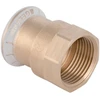 Geberit 61809, žarnos jungtis, 1 colio, varinė