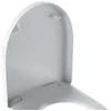 Geberit Icon klozeto dangtis - 355x440x45 mm su dangčiu, baltas