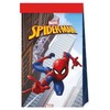 Globos Europe Bv Spiderman party poser
